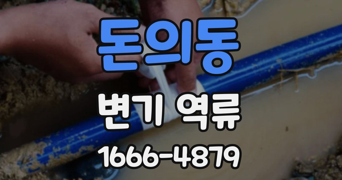돈의동 변기 역류