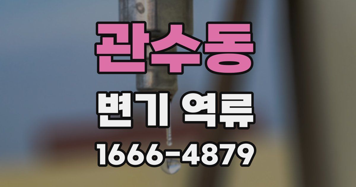 관수동 변기 역류