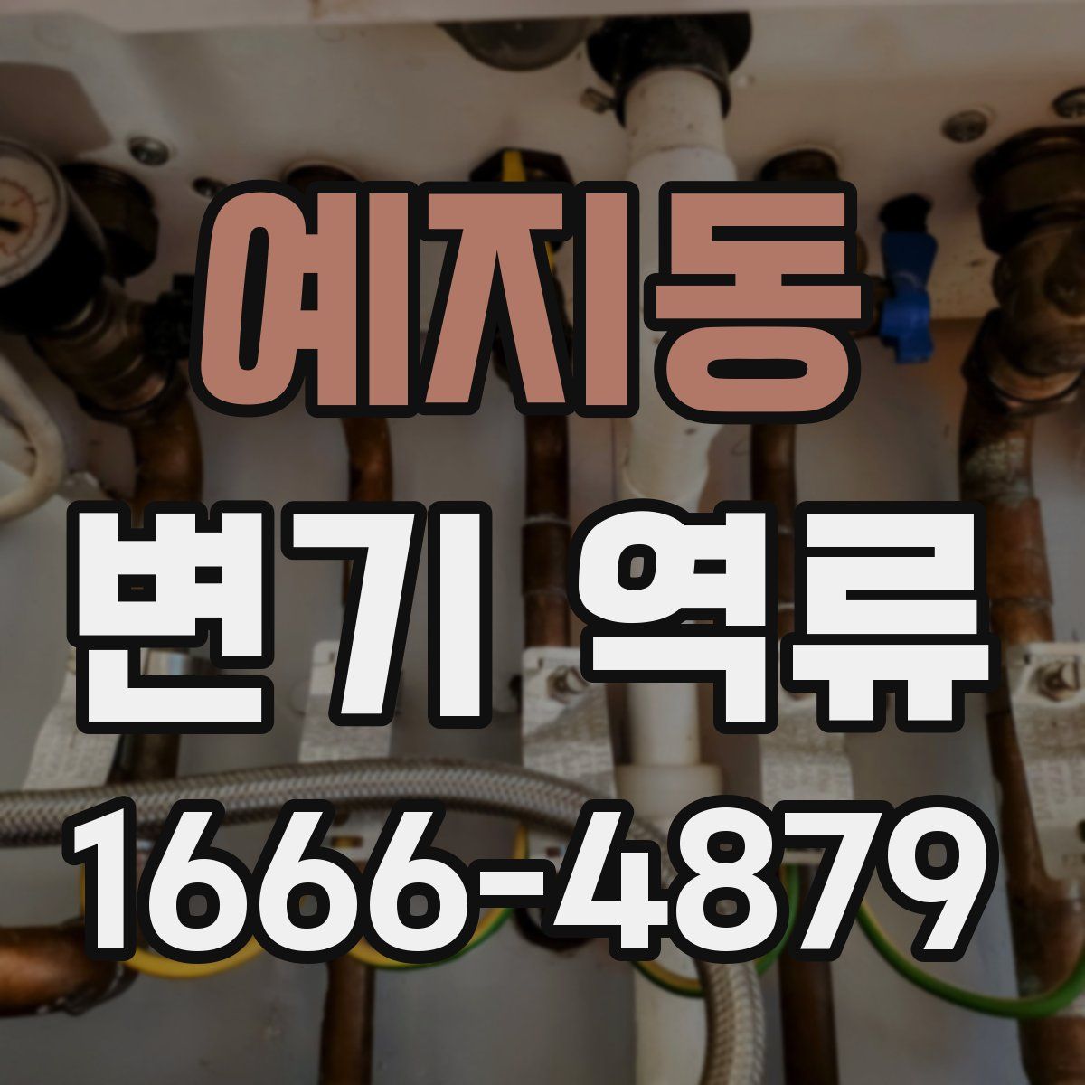 예지동 변기 역류