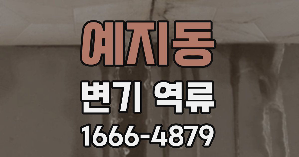 예지동 변기 역류