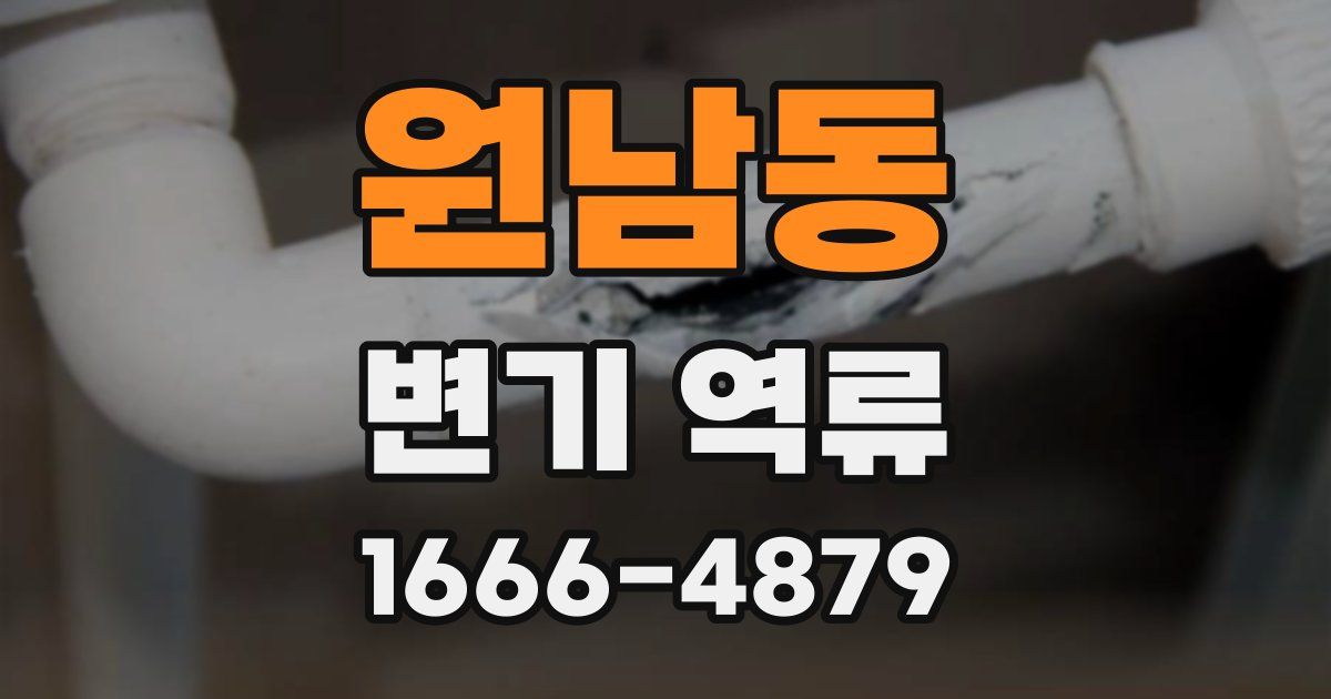 원남동 변기 역류