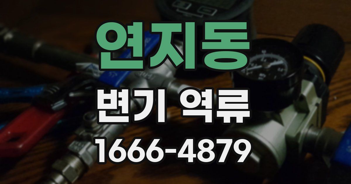 연지동 변기 역류