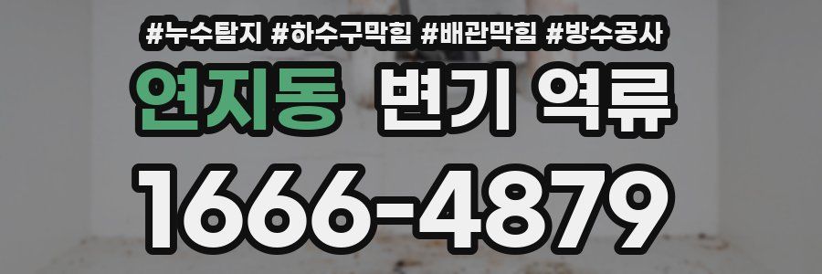 연지동 변기 역류