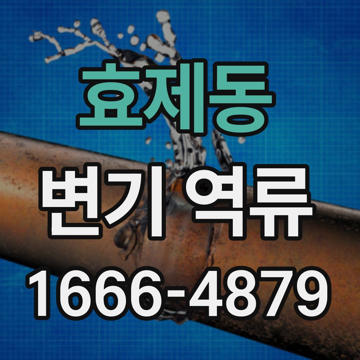 효제동 변기 역류