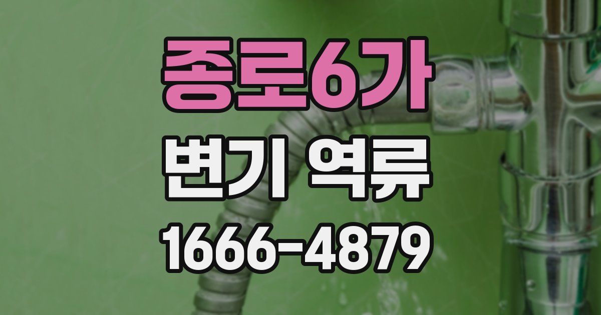 종로6가 변기 역류