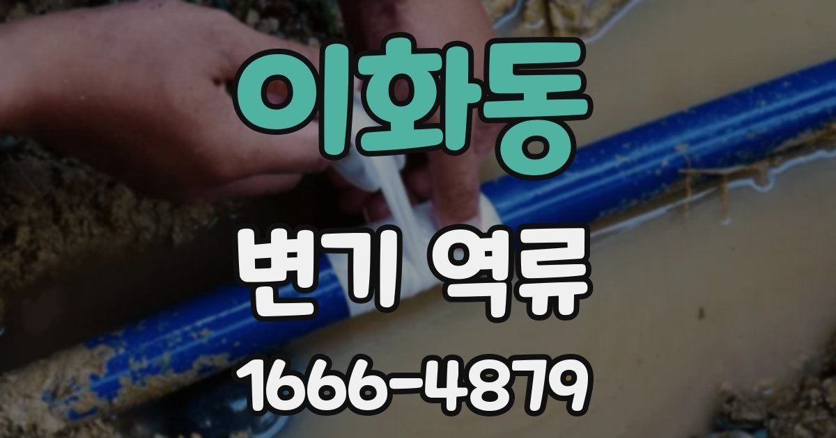 이화동 변기 역류