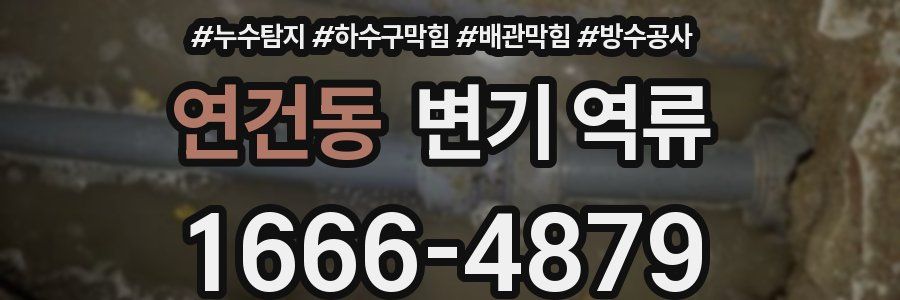 연건동 변기 역류