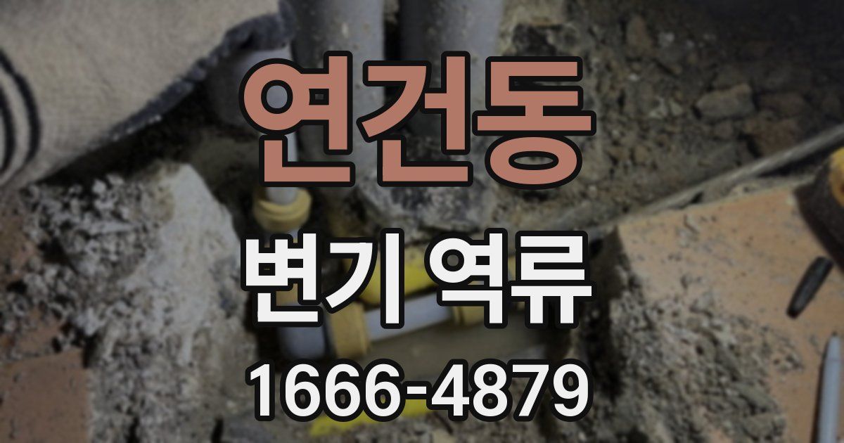 연건동 변기 역류