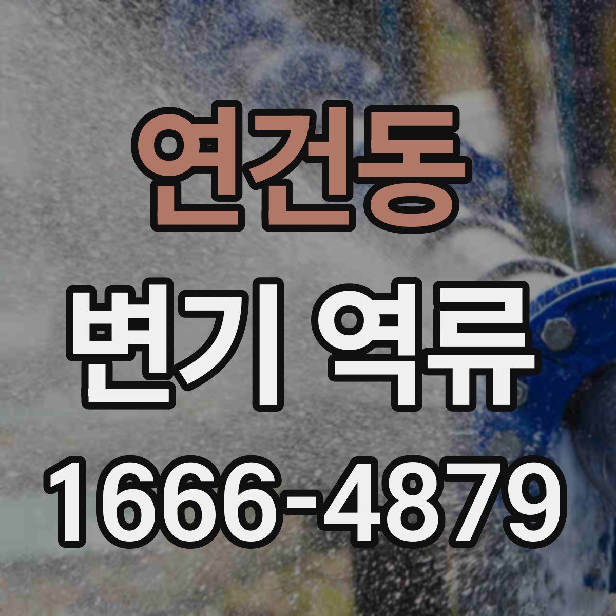연건동 변기 역류
