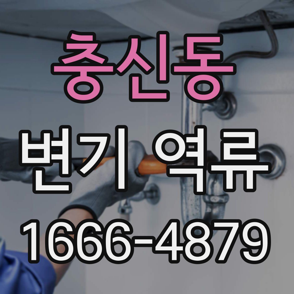 충신동 변기 역류