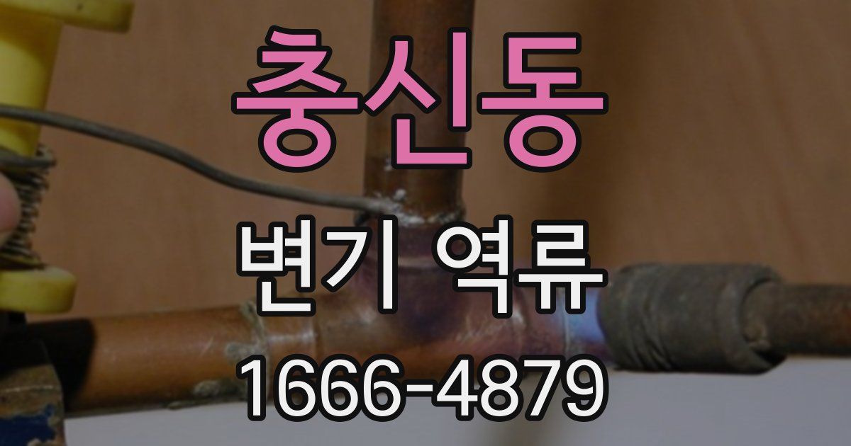 충신동 변기 역류