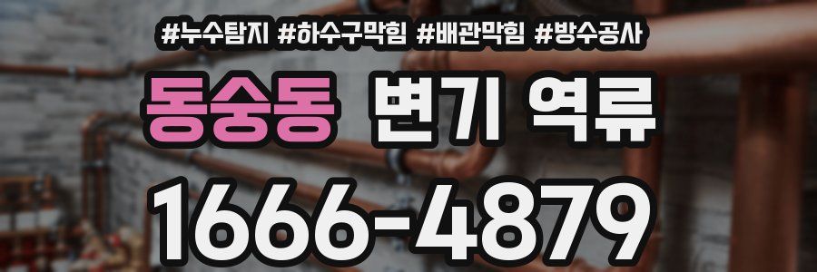 동숭동 변기 역류