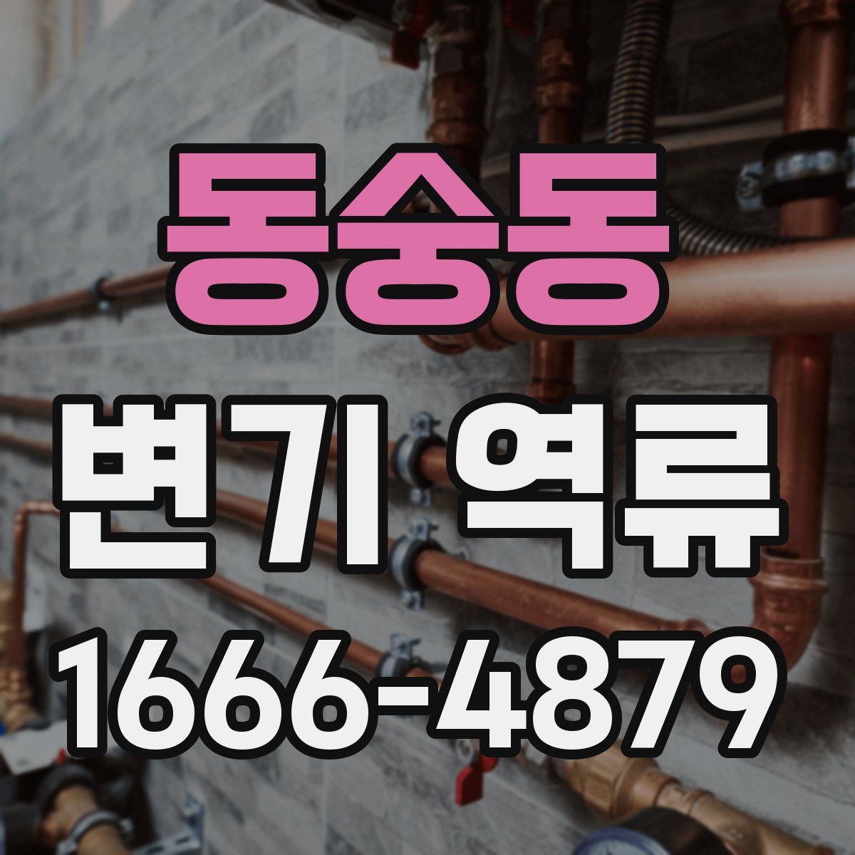 동숭동 변기 역류
