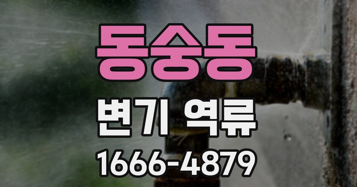 동숭동 변기 역류