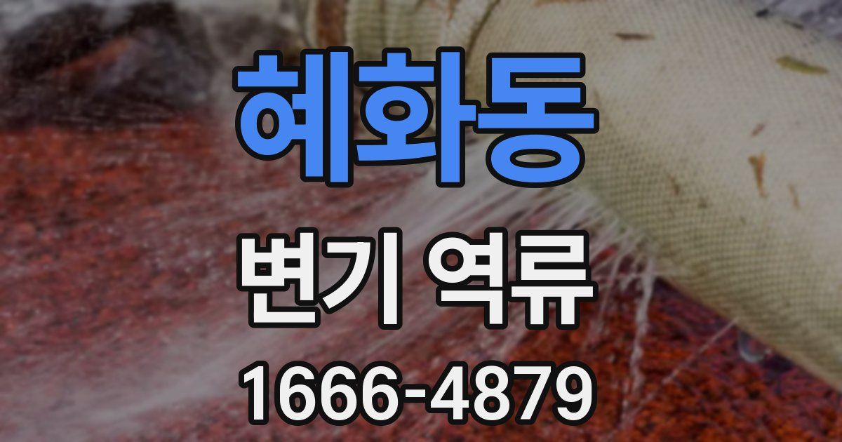 혜화동 변기 역류
