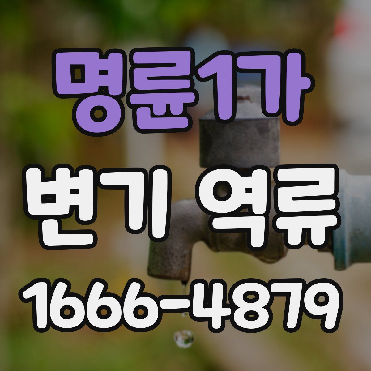 명륜1가 변기 역류
