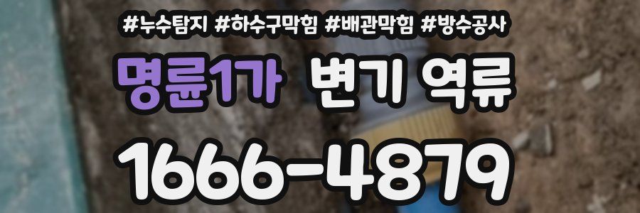 명륜1가 변기 역류