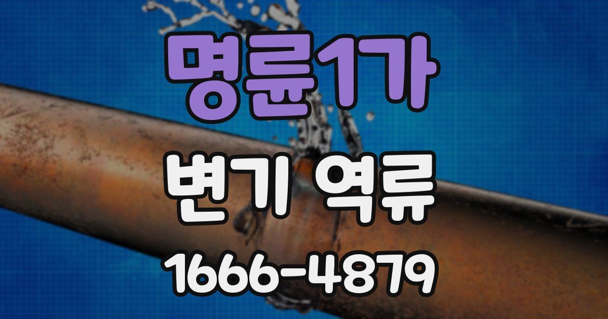 명륜1가 변기 역류