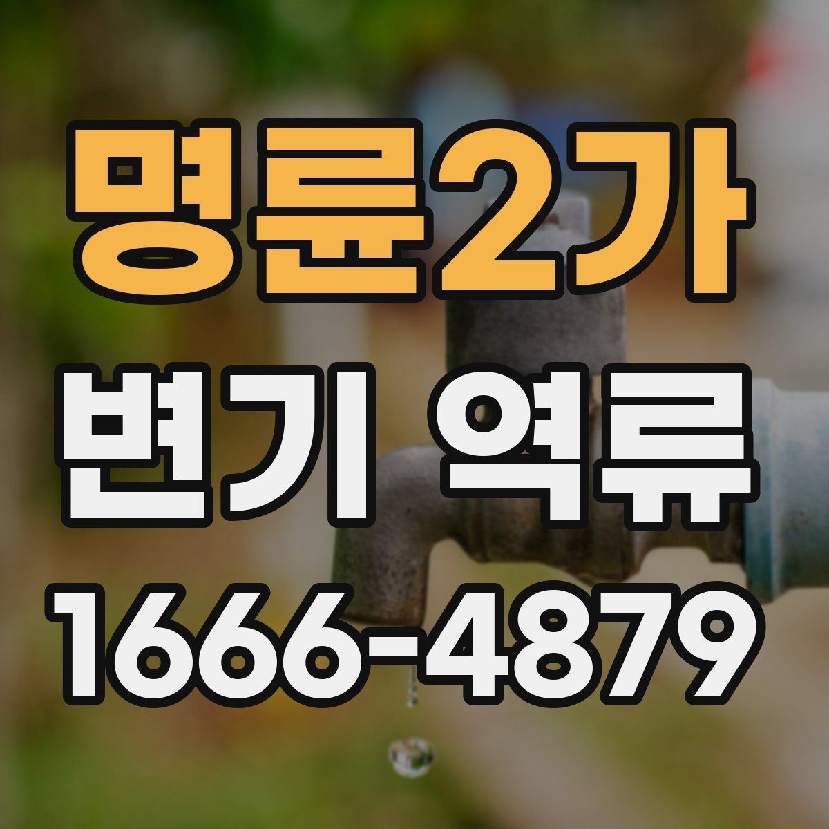 명륜2가 변기 역류