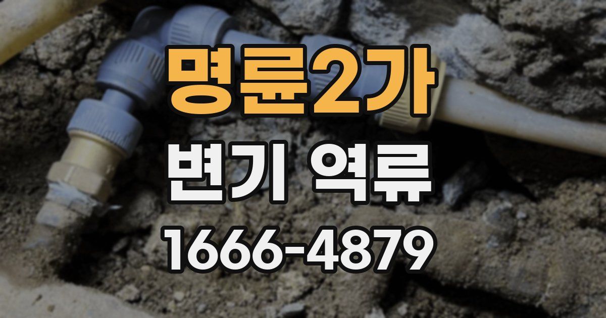 명륜2가 변기 역류