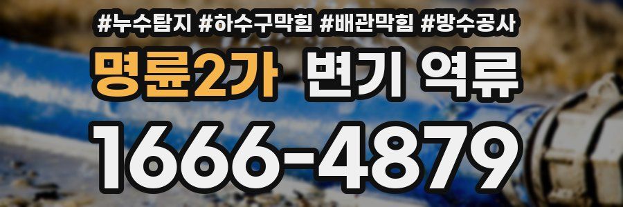명륜2가 변기 역류