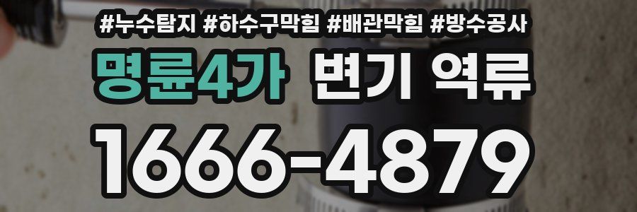 명륜4가 변기 역류