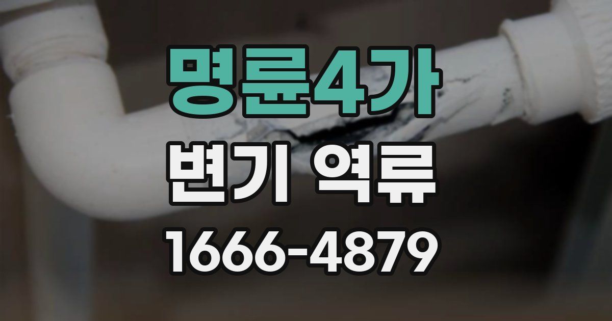 명륜4가 변기 역류