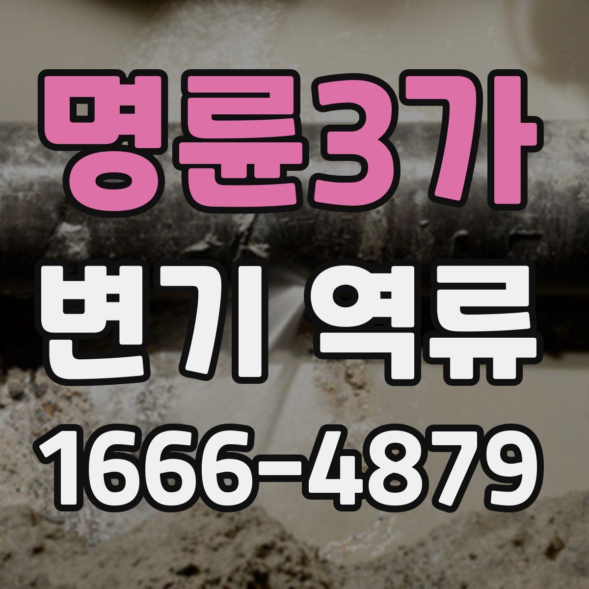 명륜3가 변기 역류