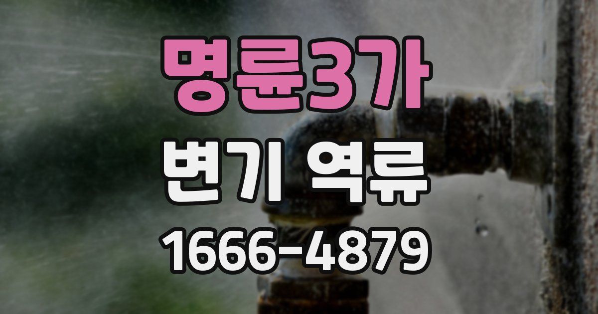 명륜3가 변기 역류