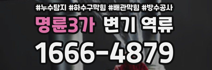명륜3가 변기 역류