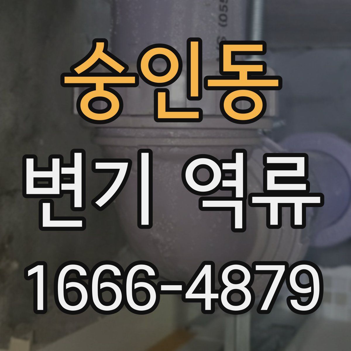 숭인동 변기 역류