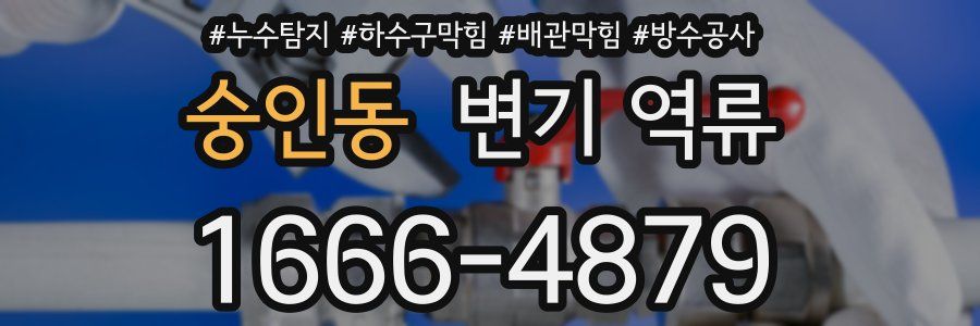 숭인동 변기 역류
