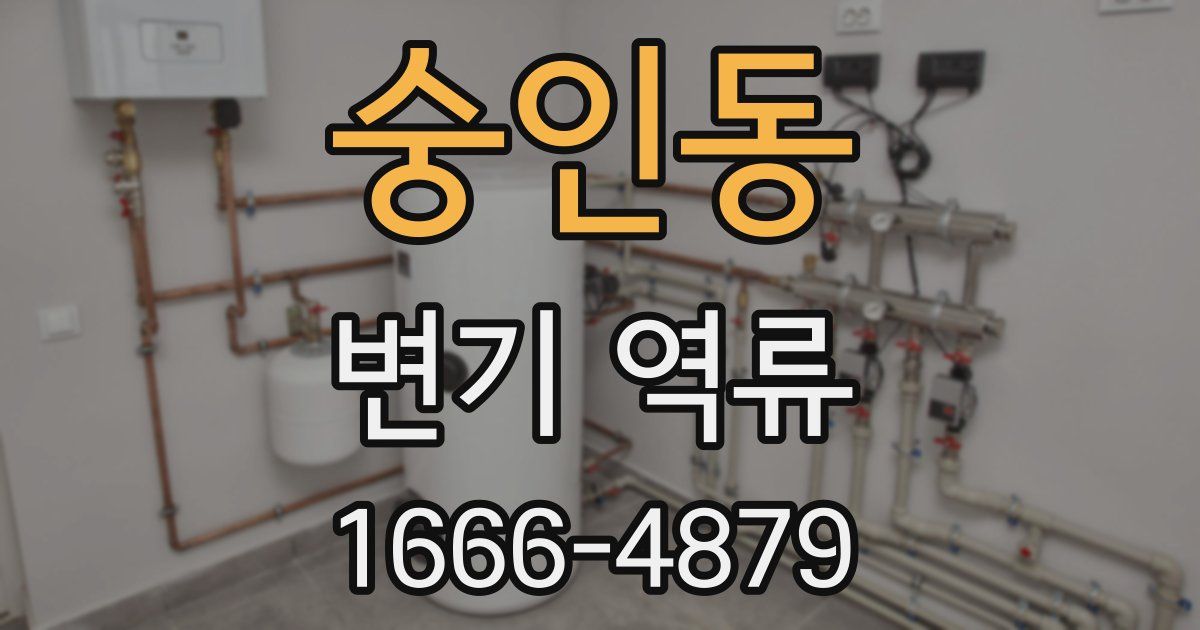 숭인동 변기 역류