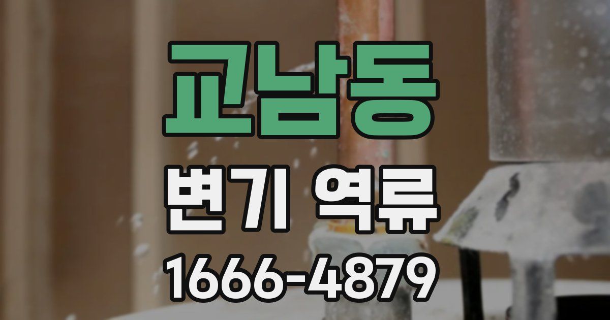 교남동 변기 역류