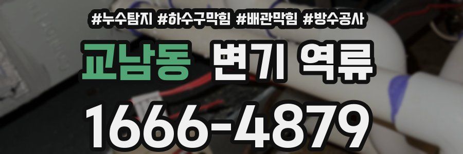 교남동 변기 역류