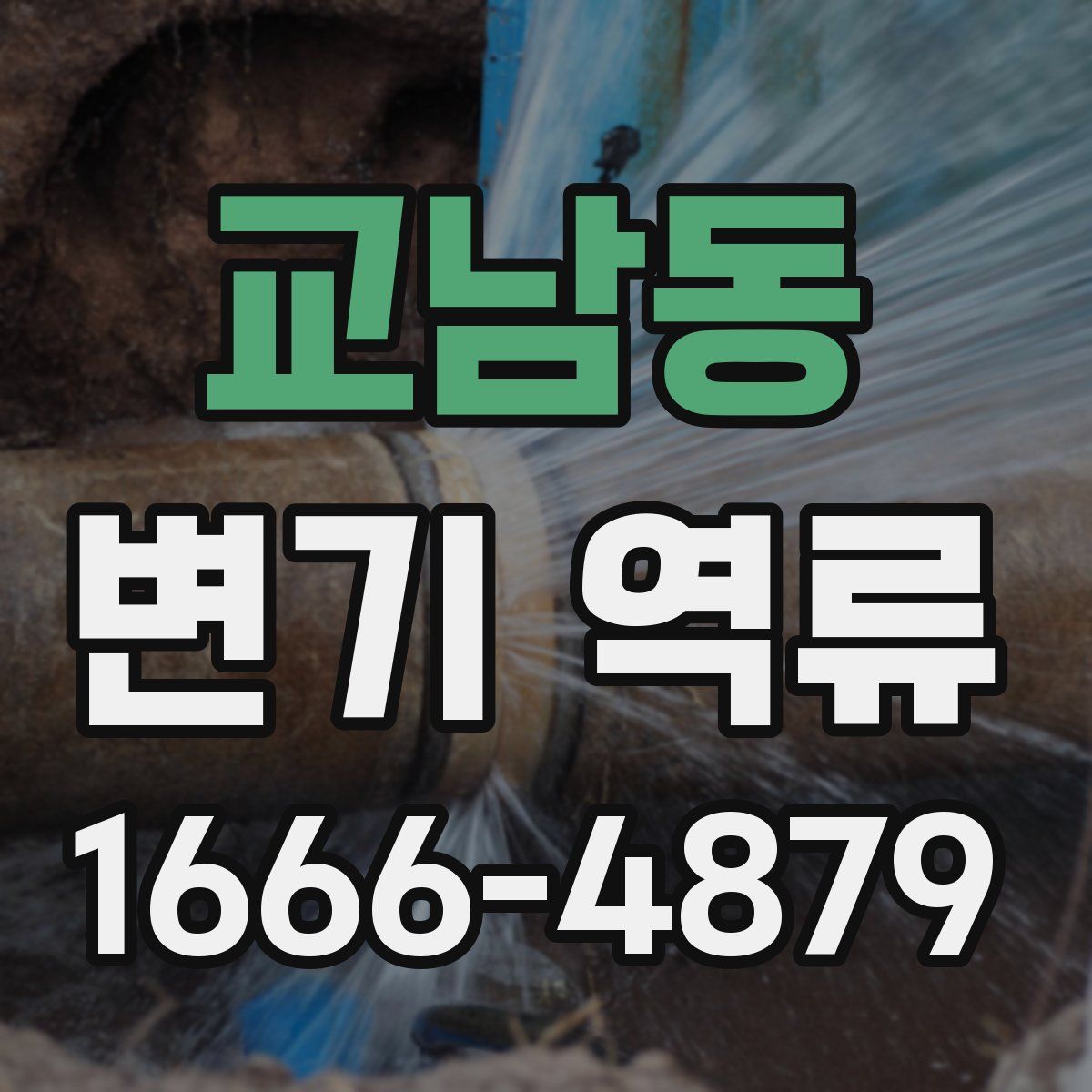 교남동 변기 역류