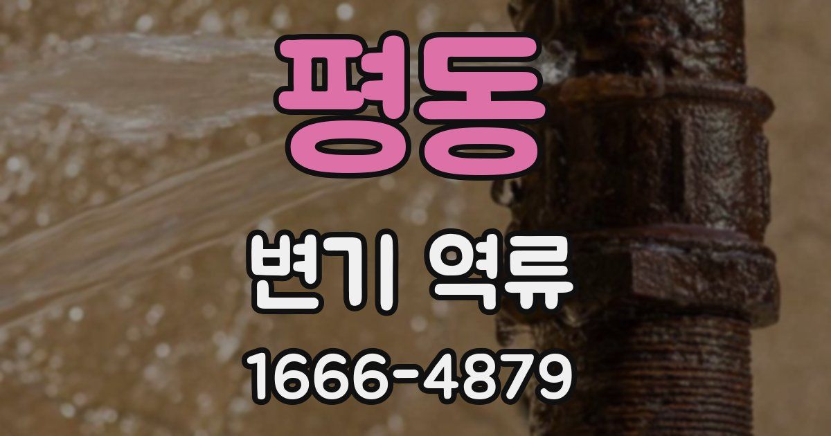 평동 변기 역류