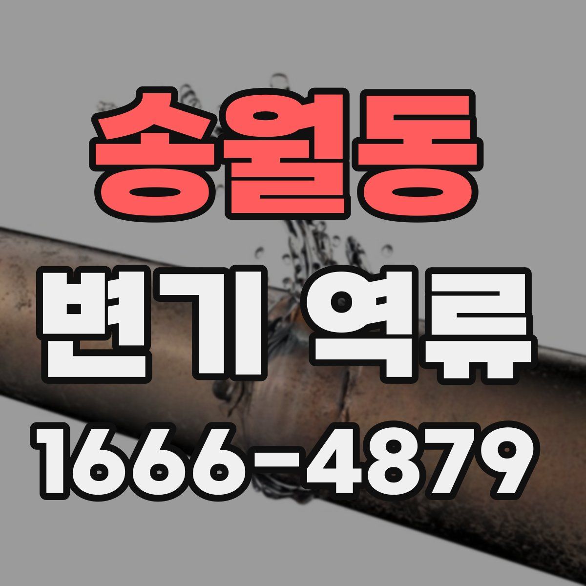 송월동 변기 역류