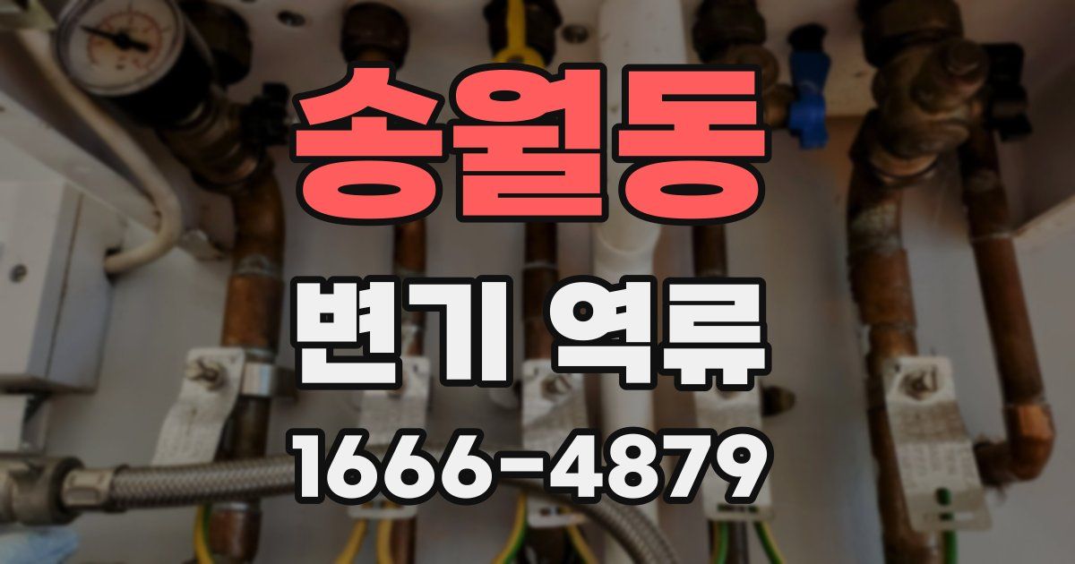 송월동 변기 역류