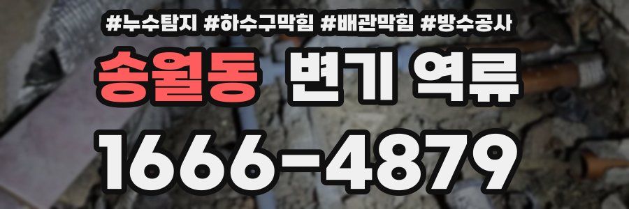 송월동 변기 역류