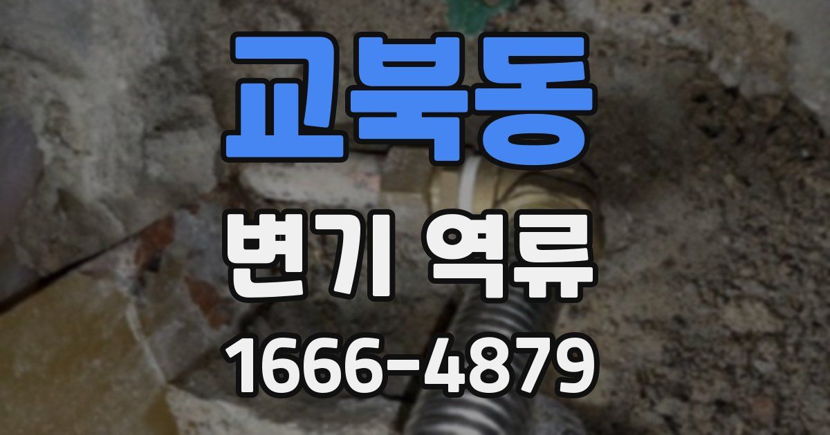 교북동 변기 역류