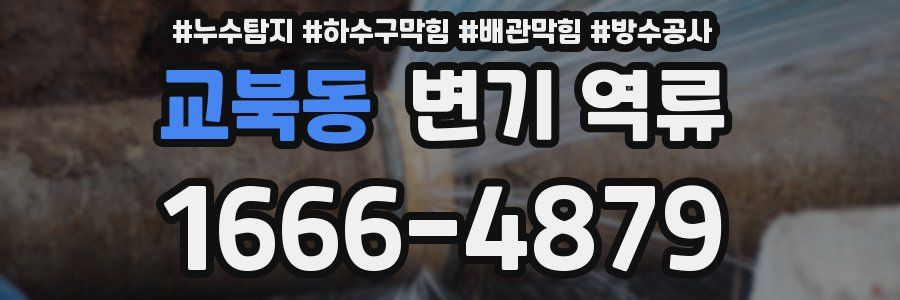 교북동 변기 역류