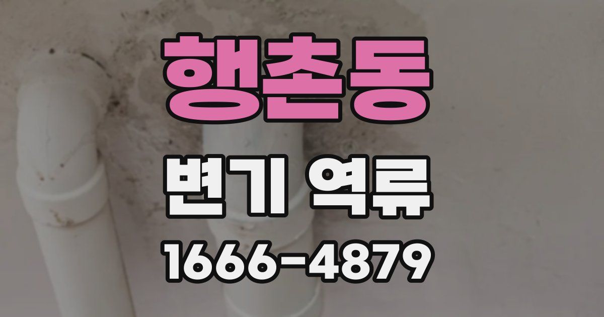 행촌동 변기 역류