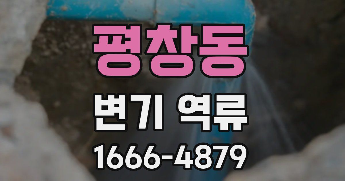 평창동 변기 역류