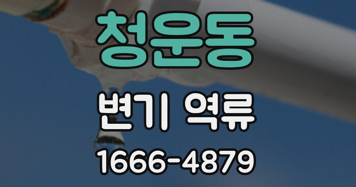 청운동 변기 역류