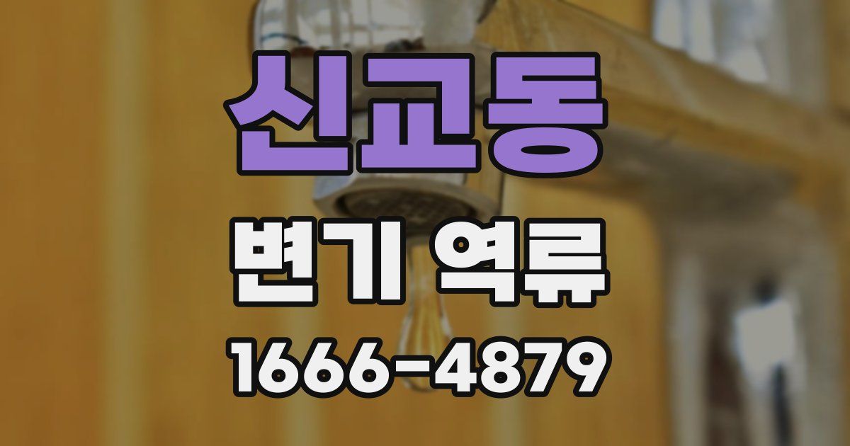 신교동 변기 역류