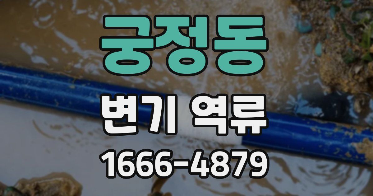 궁정동 변기 역류