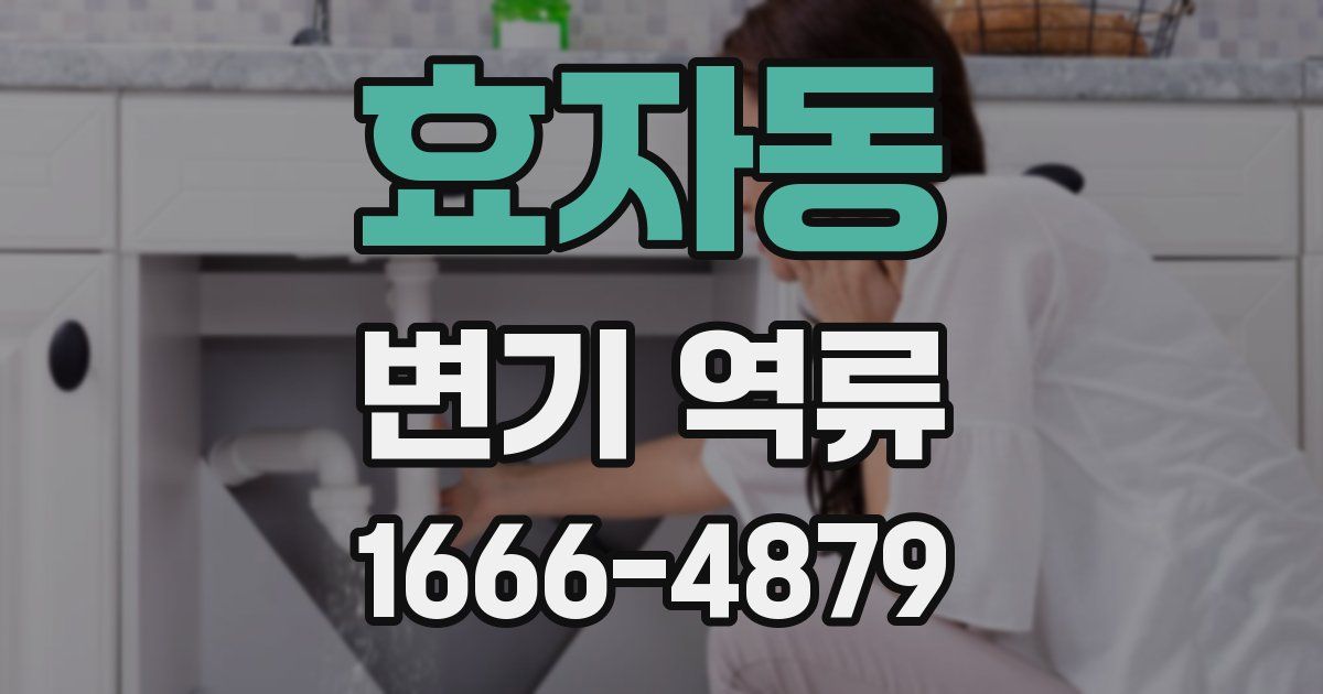 효자동 변기 역류