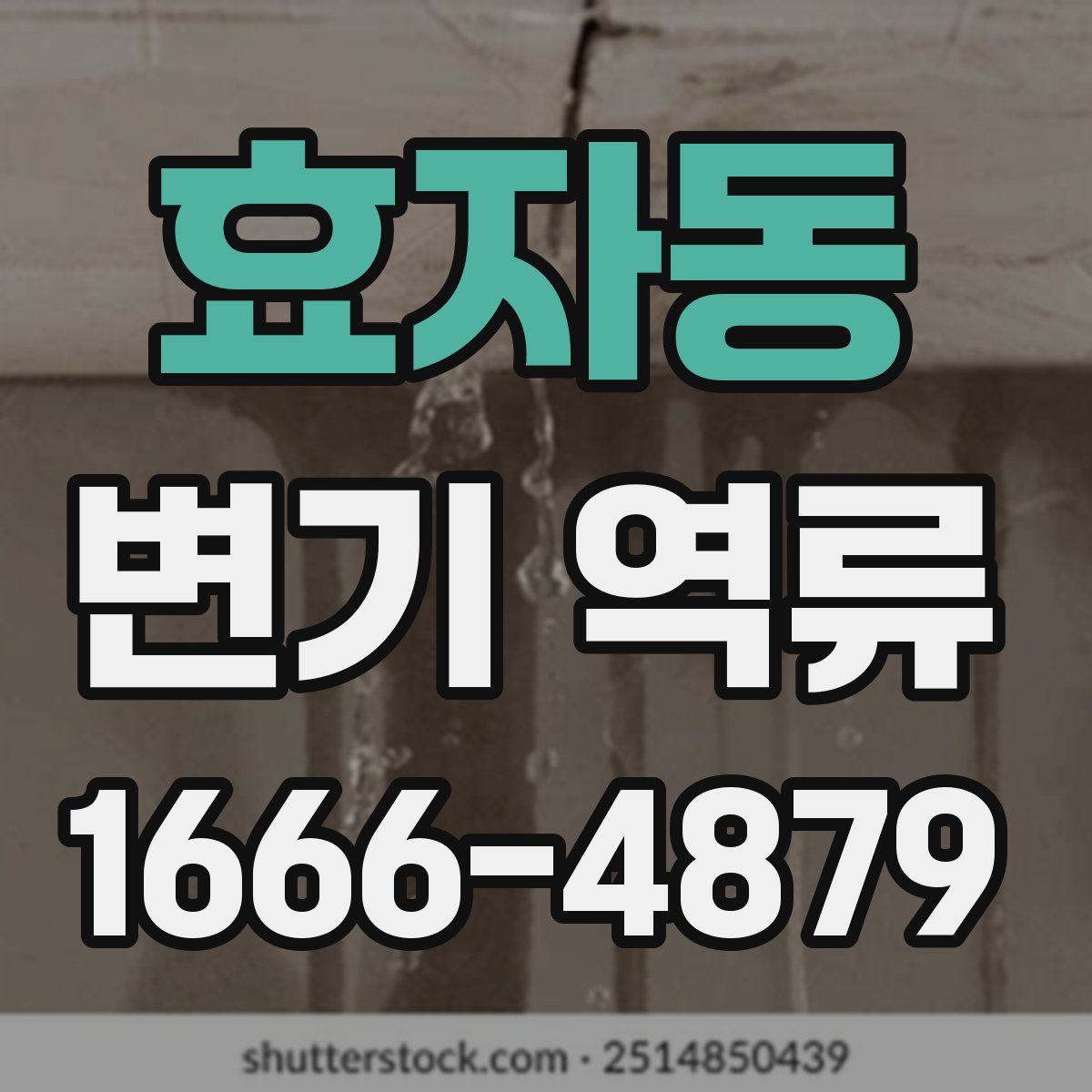효자동 변기 역류