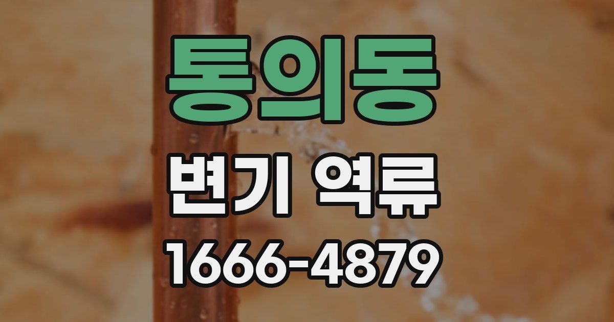 통의동 변기 역류